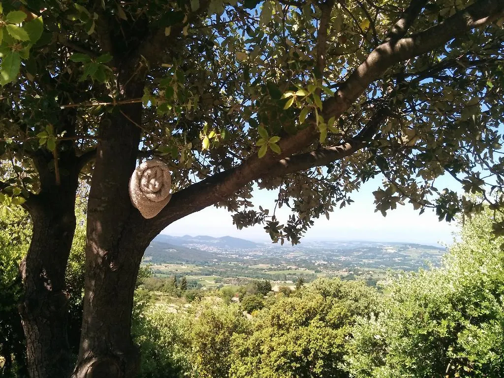 Bed & Breakfast Maison D'Edouard, Le Petit Dromois Bed and Breakfast Mérindol-les-Oliviers